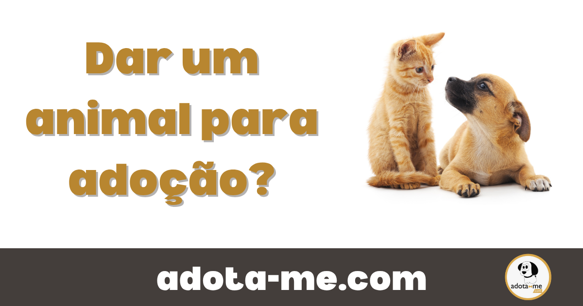 Dar um animal para adoção
